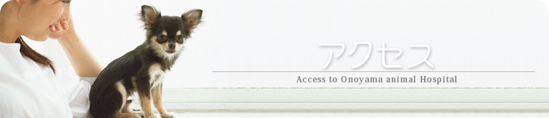 アクセス│小野山動物病院