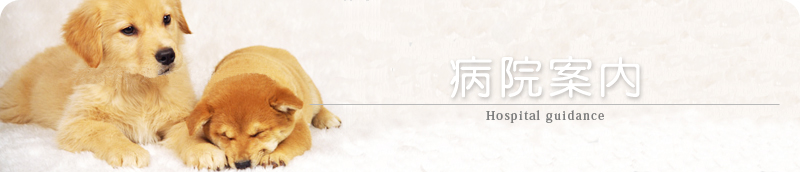 病院案内│小野山動物病院公式サイト