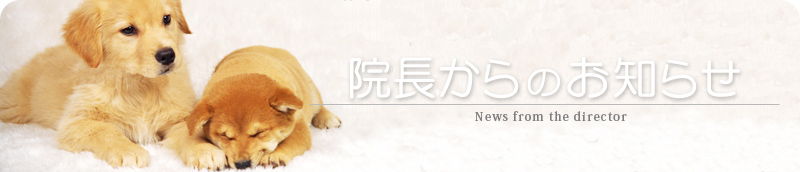 院長からのお知らせ