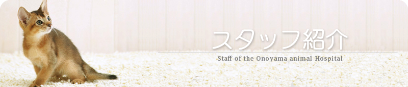 スタッフ紹介│小野山動物病院