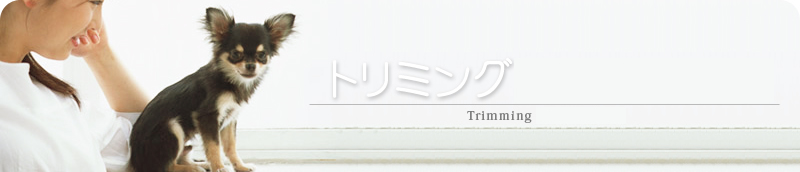 トリミング＆ペットホテル│小野山動物病院