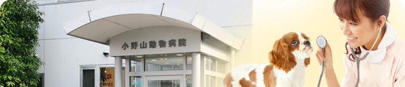 小野山動物病院公式サイトへようこそ！